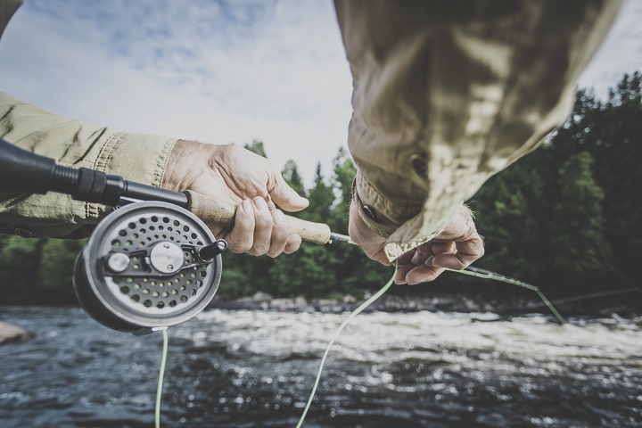 Hand on a fishing reel. The person is fly fishing in a river with beautiful big trees in the background.